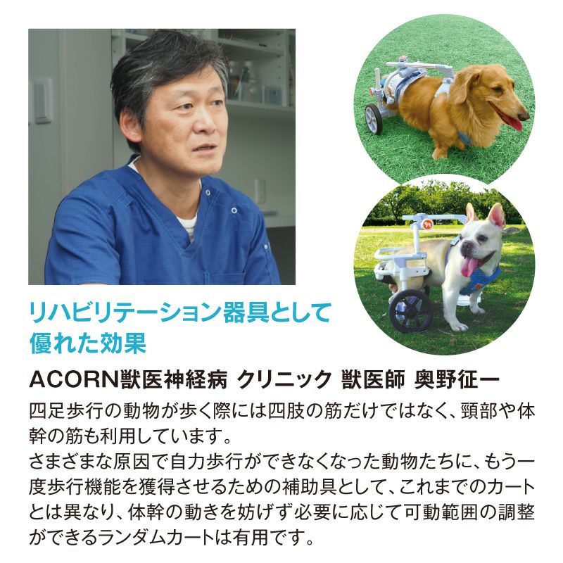 犬用車椅子 ランダムカート