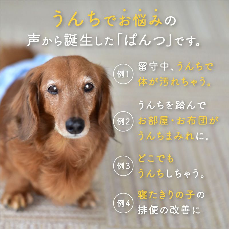 うんちキャッチ&おむつカバー プーぱんつ(R)(小型犬用)ネイビー(NV)