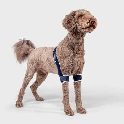 【レンタルサービスわんトライ便+】BT SOFT PLUS 両肘関節サポーター