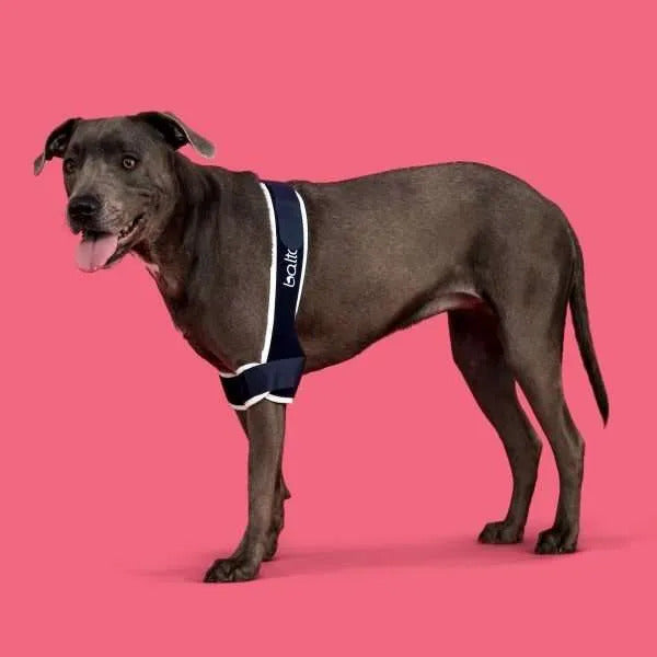 【レンタルサービスわんトライ便+】BT SOFT PLUS 両肘関節サポーター