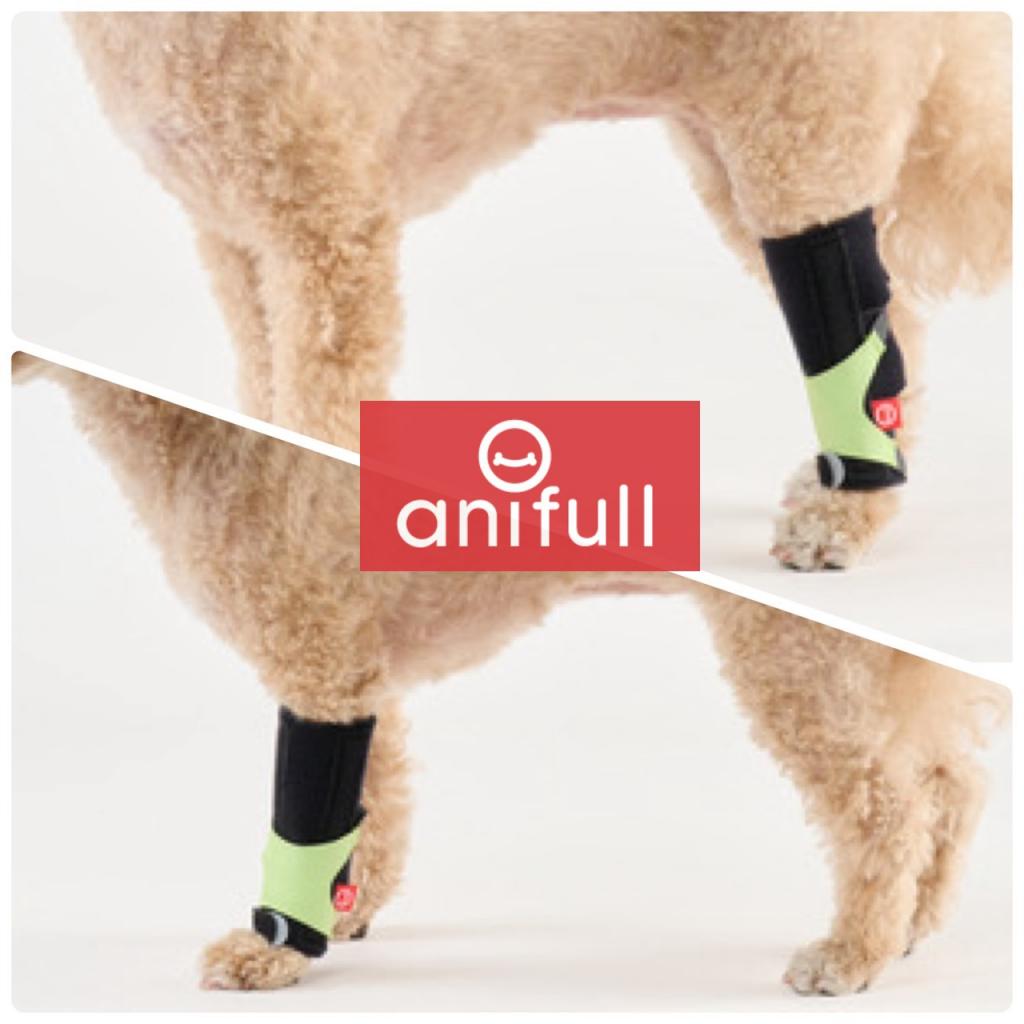 アニサポ キック (手首・足首サポーター)