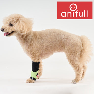 【レンタルサービスわんトライ便+】 アニサポ キック (手首・足首サポーター)