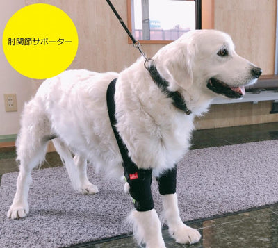 オーダーメイド 肘関節サポーター