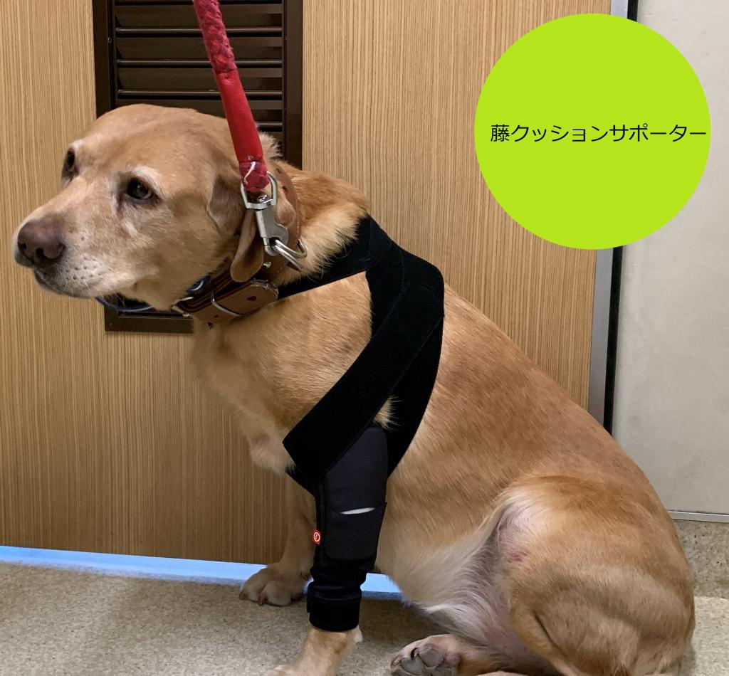 オーダーメイド 肘クッションサポーター