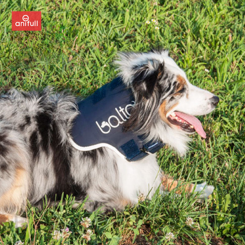 BT NECK(首サポーター) 犬用頸椎サポーター 首のサポートに