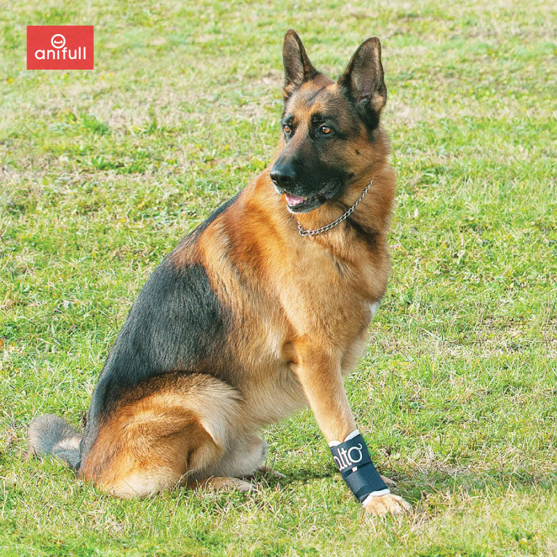 BT JOINT(手首サポーター) 犬用 手首サポーター