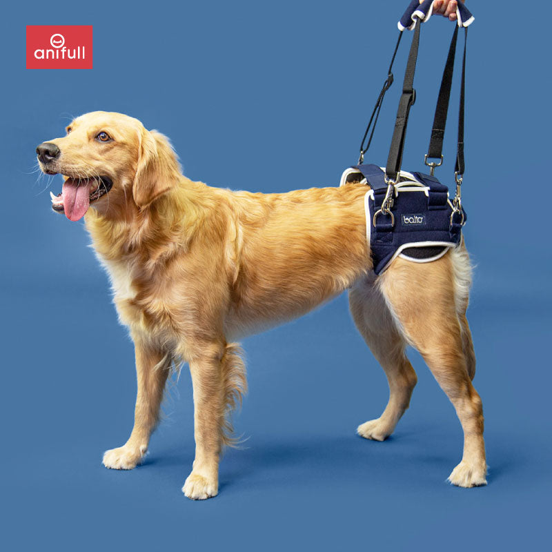 BT LIFE(股関節サポーター) 犬用 股関節サポーター