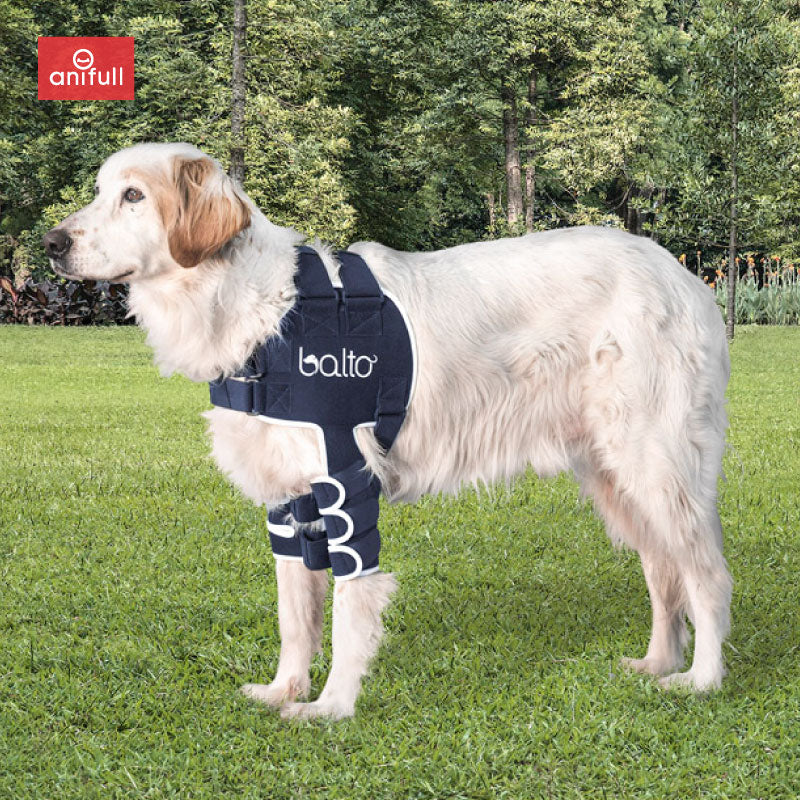 BT LUX(肩関節サポーター) 犬用 肩サポーター