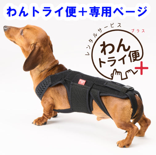 【レンタルサービスわんトライ便+】 わんコル With ハードタイプ 犬用サポーター コルセット