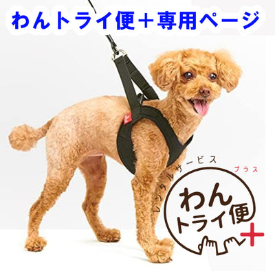 【レンタルサービスわんトライ便+】 気管にやさしい アニサポ ハーレスト