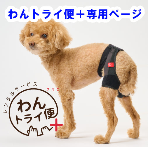 【レンタルサービスわんトライ便+】 アニサポ ヒップ 股関節サポーター