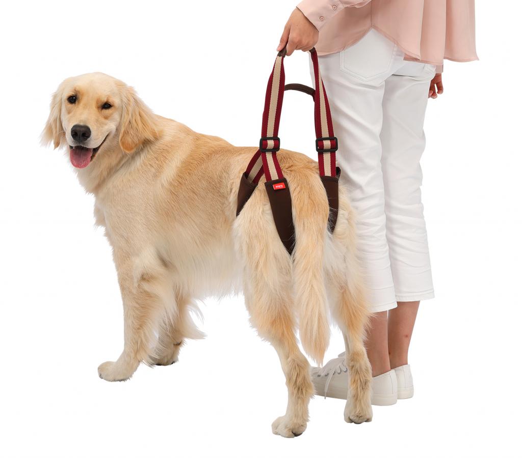 介護ハーネス LaLaWalk STEP (中、大型犬用) フリーサイズ