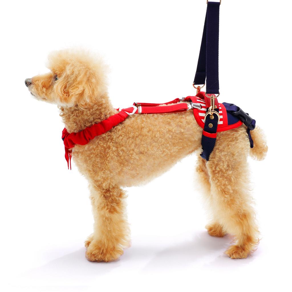 介護ハーネス LaLaWalk ホールド小型犬用 フリーサイズ