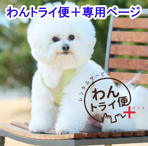 【レンタルサービスわんトライ便+】 アニサポ ハーレスト cocochi (ココチ) 専用リード付き