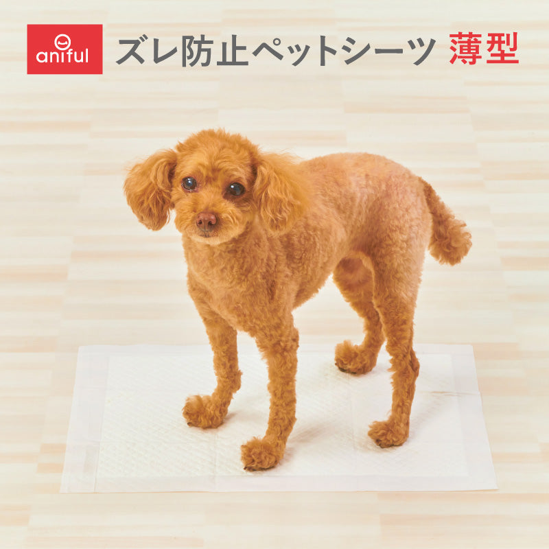 薄型 ズレ防止ペットシーツ フローリングにそのまま敷ける