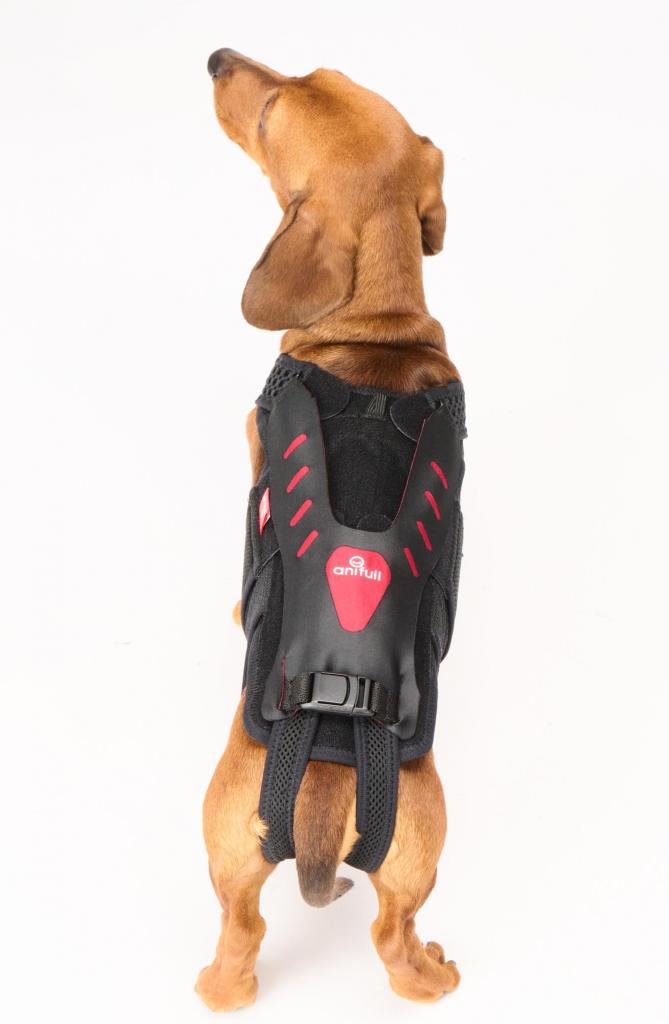 わんコル With 専用カバー