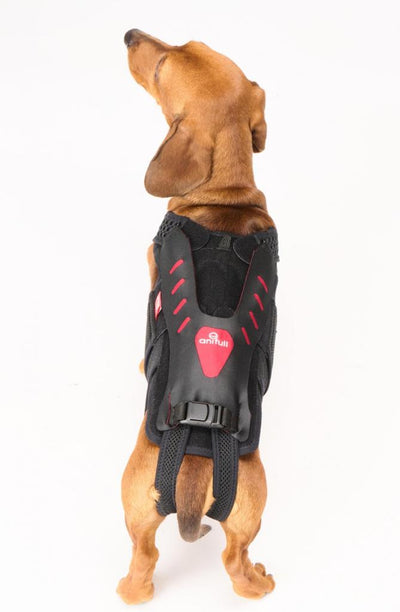 わんコル With 専用カバー