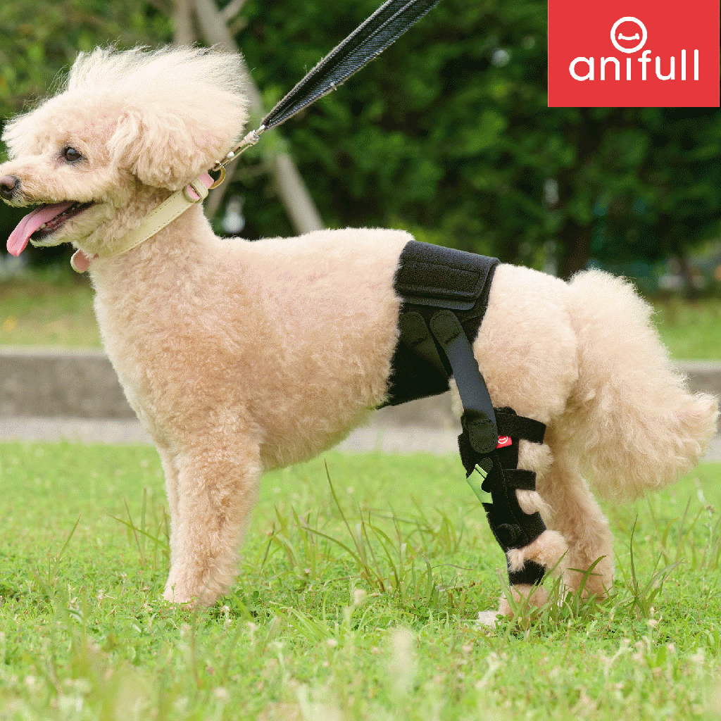 2024年11月新発売! アニサポ ニー anifull 犬用 膝サポーター 前 2024年11月新発売! アニサポ ニー anifull 犬用 膝サポーター 前