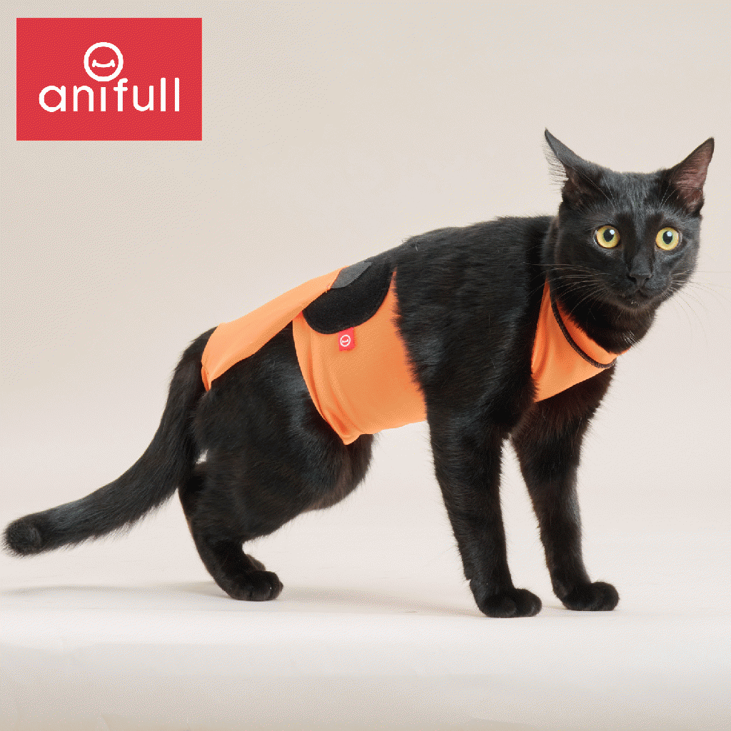 キズぐちエプロン 猫用 新発想!術後のネコちゃんのキズぐちをカバー キズぐちエプロン 猫用 新発想!術後のネコちゃんのキズぐちをカバー