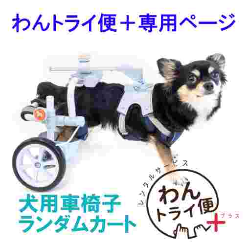 【レンタルサービス】わんトライ便 犬用車椅子 ランダムカート 特許取得のスイングアーム構造