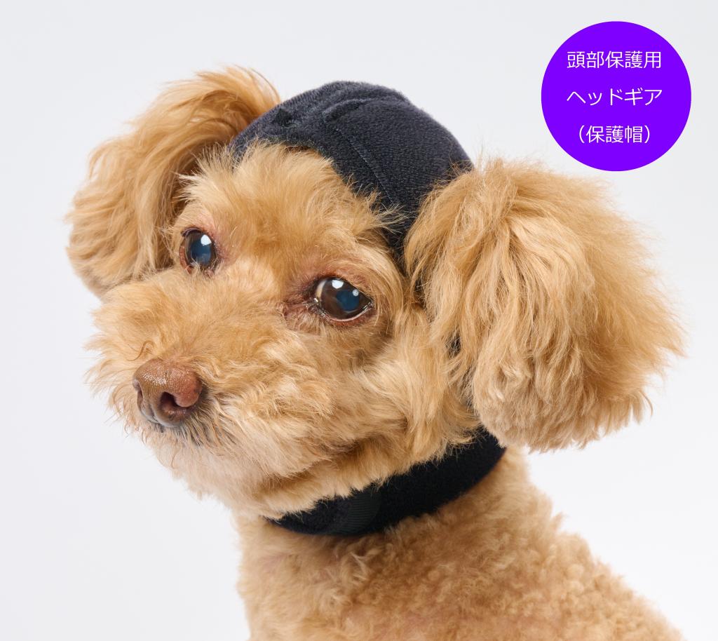 オーダーメイド 頭部保護用ヘッドギア