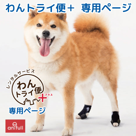 【レンタルサービスわんトライ便+】 アニサポナックルン びっこをひく、足をひきずる子におすすめ
