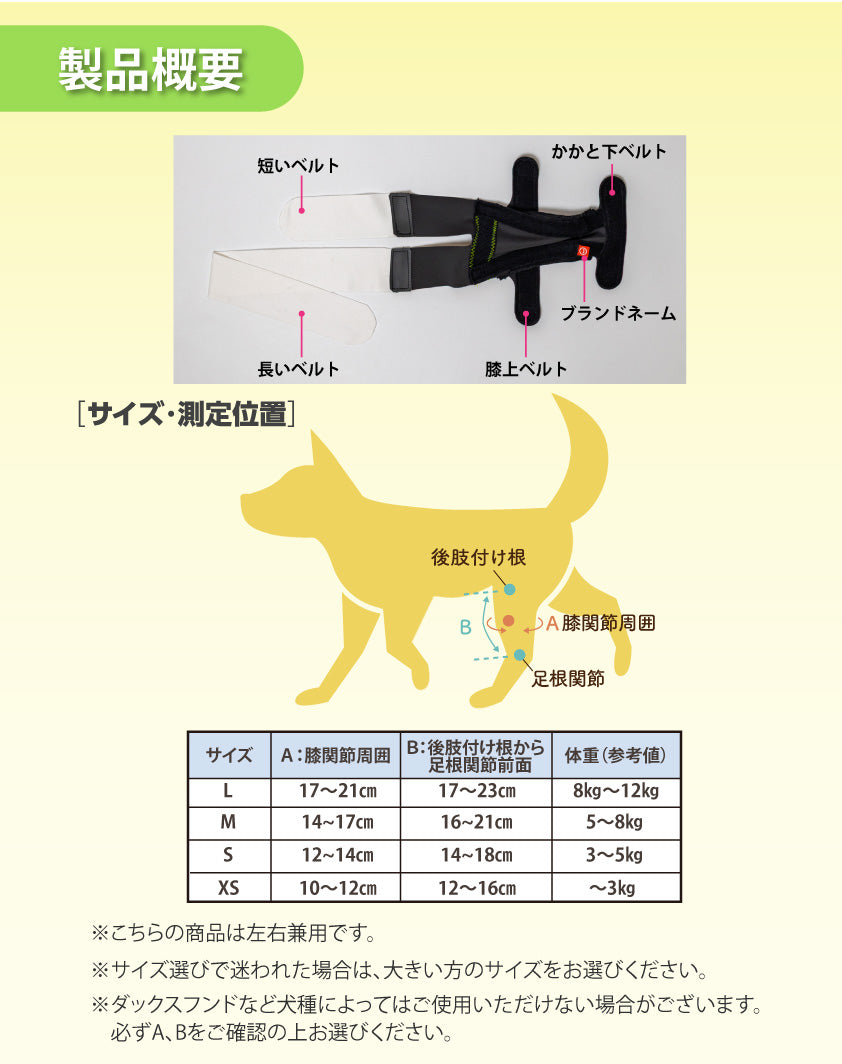 アニサポ ニーフィット