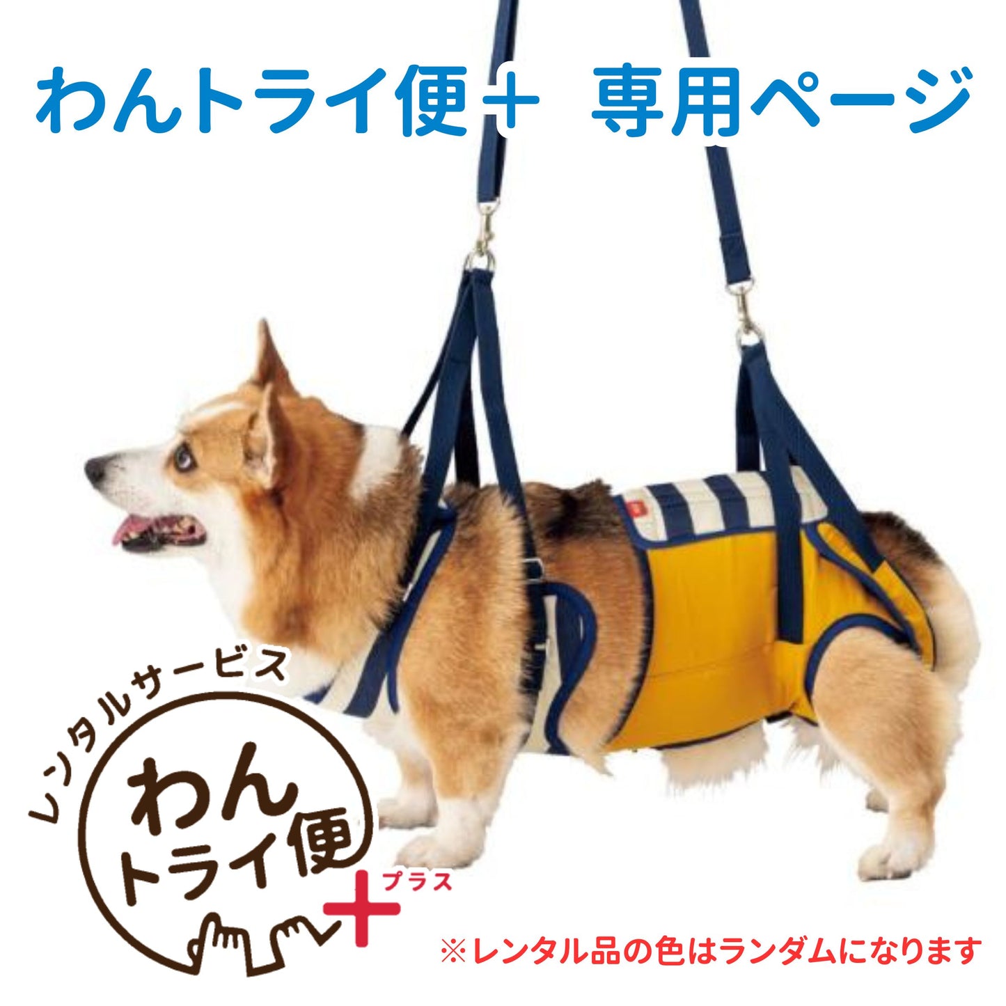 【レンタルサービスわんトライ便+】 介護ハーネス LaLaWalk 中型犬・コーギー用