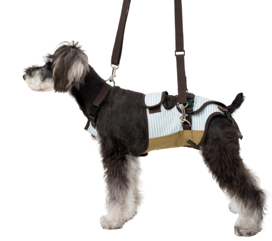 介護ハーネス LaLaWalk 小型犬・ダックス用