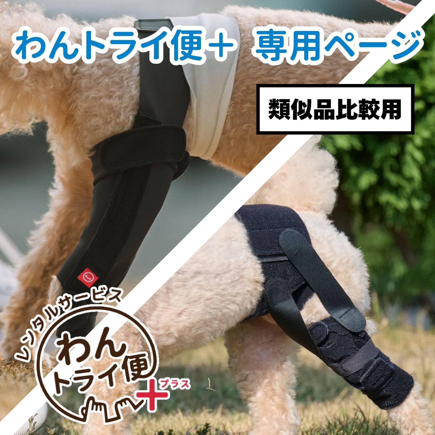【レンタルサービスわんトライ便+】アニサポ パテラン&アニサポ ニーフィット 類似品比較用 【7日間】