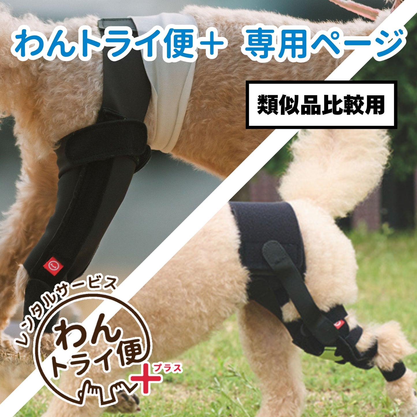 【レンタルサービスわんトライ便+】アニサポ ニー&アニサポ ニーフィット 類似品比較用 【7日間】