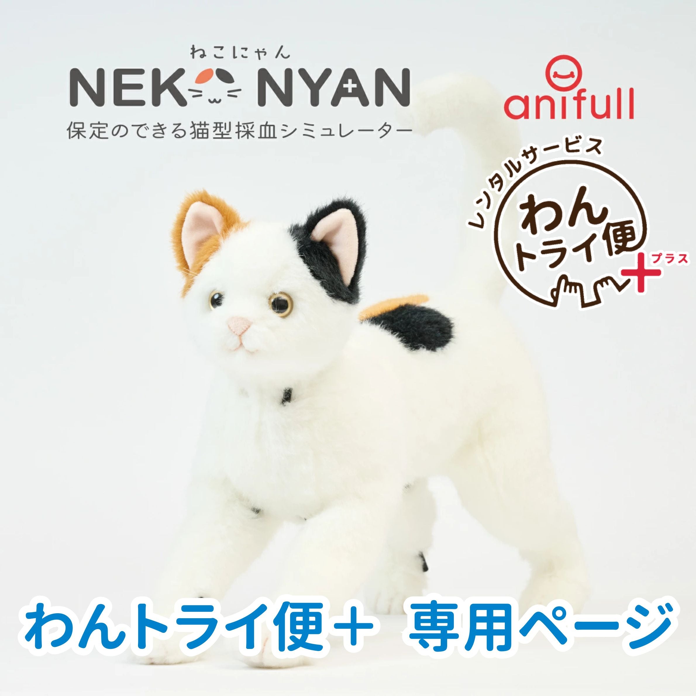 ねこさん専用 レンタルサービスわんトライ便+】 保定のできる猫型採血シミュレーター