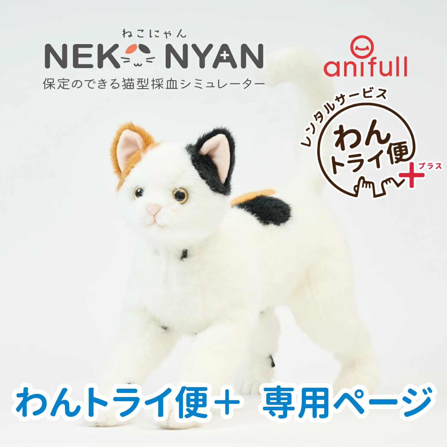 【レンタルサービスわんトライ便+】 保定のできる猫型採血シミュレーター ねこにゃん