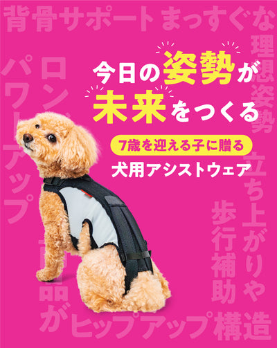 【レンタルサービスわんトライ便+】 わんコル LIFE犬用 コルセット サポーター 歩行補助