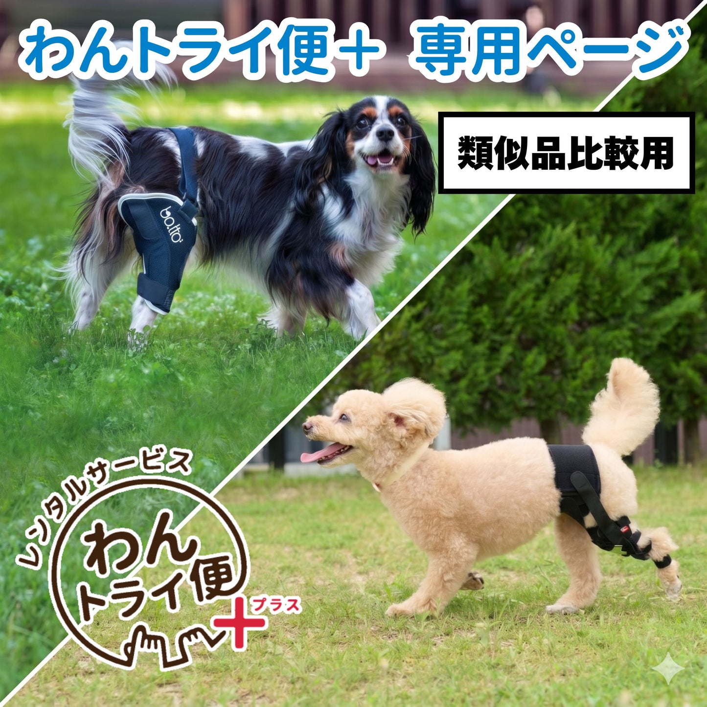 【レンタルサービスわんトライ便+】 アニサポ ニー&BT JUMP 類似品比較用 【7日間】