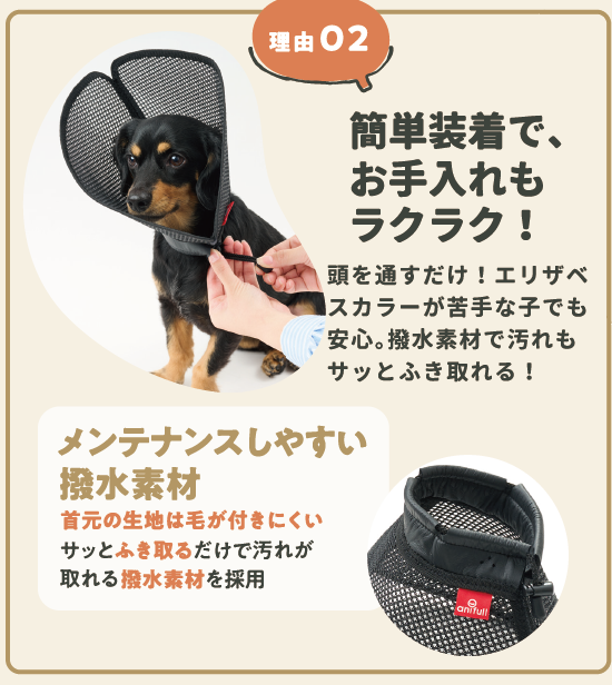アニサポ ちょっとだけだカラー <2025年3月新発売>