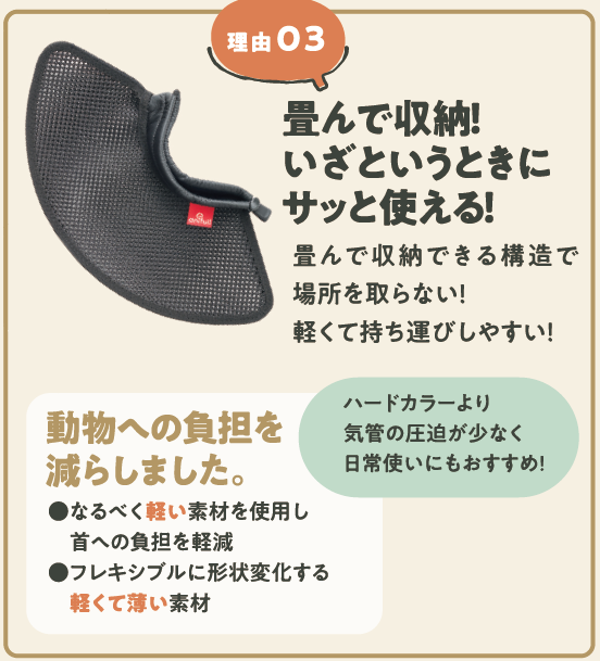 アニサポ ちょっとだけだカラー <2025年3月新発売>