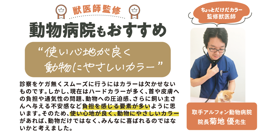 アニサポ ちょっとだけだカラー <2025年3月新発売>