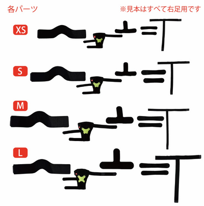【レンタルサービスわんトライ便+】 アニサポ ニー