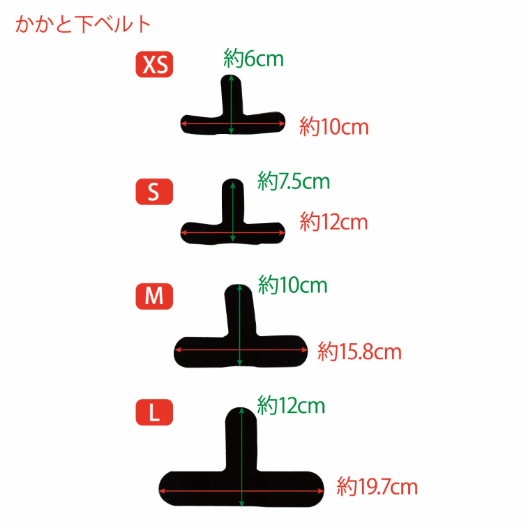 【レンタルサービスわんトライ便+】 アニサポ ニー