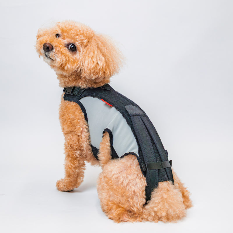 わんコル 持ち手つき ソフトタイプ 犬用 コルセット サポーター 歩行