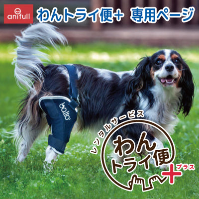 【レンタルサービスわんトライ便+】BT JUMP (膝サポーター) 犬用 後ろ足 サポーター