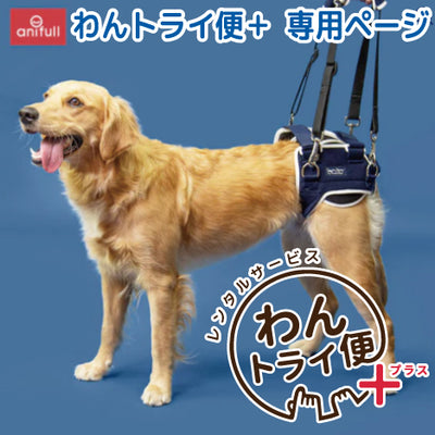 【レンタルサービスわんトライ便+】BT LIFE(股関節サポーター) 犬用 股関節サポーター