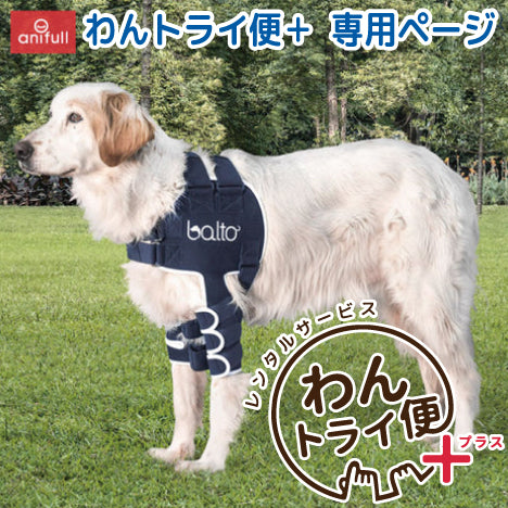 【レンタルサービスわんトライ便+】BT LUX(肩関節サポーター) 犬用 肩サポーター
