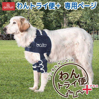 【レンタルサービスわんトライ便+】BT LUX(肩関節サポーター) 犬用 肩サポーター