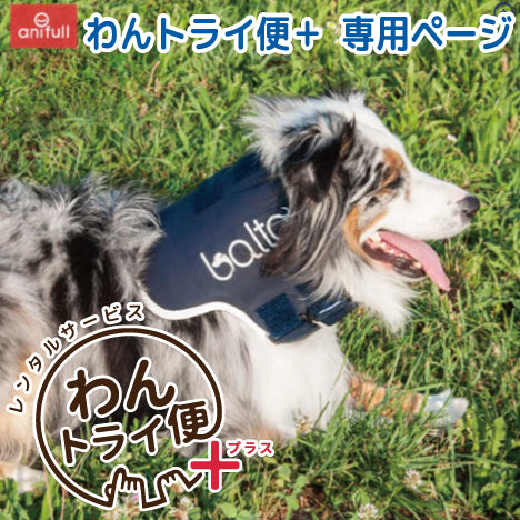 【レンタルサービスわんトライ便+】BT NECK(首サポーター) 犬用頸椎サポーター 首のサポートに