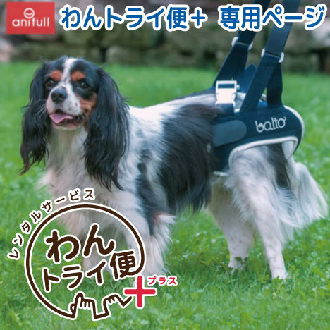 【レンタルサービスわんトライ便+】BT UP (歩行補助ハーネス)