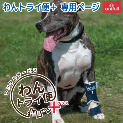 【レンタルサービスわんトライ便+】BT SPLINT(手根関節サポーター) 犬用 前足 サポーター
