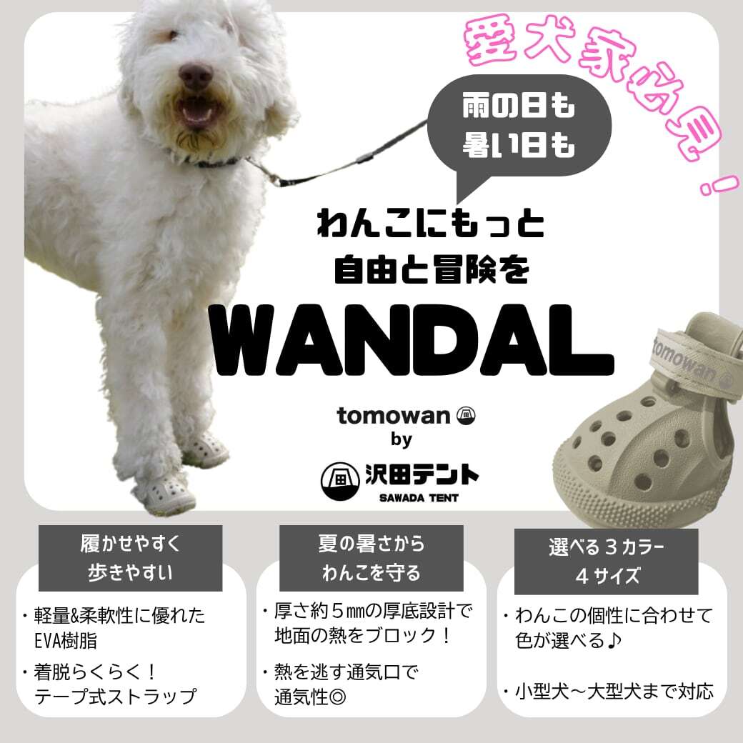 【レンタルサービスわんトライ便+】 わんちゃん専用シューズ WANDAL(ワンダル)4個入 前後サイズ比較用 【7日間のみ】