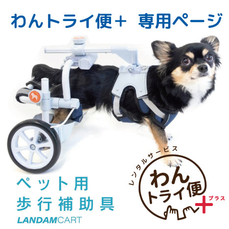 レンタルサービス】わんトライ便 犬用車椅子 ランダムカート 特許取得